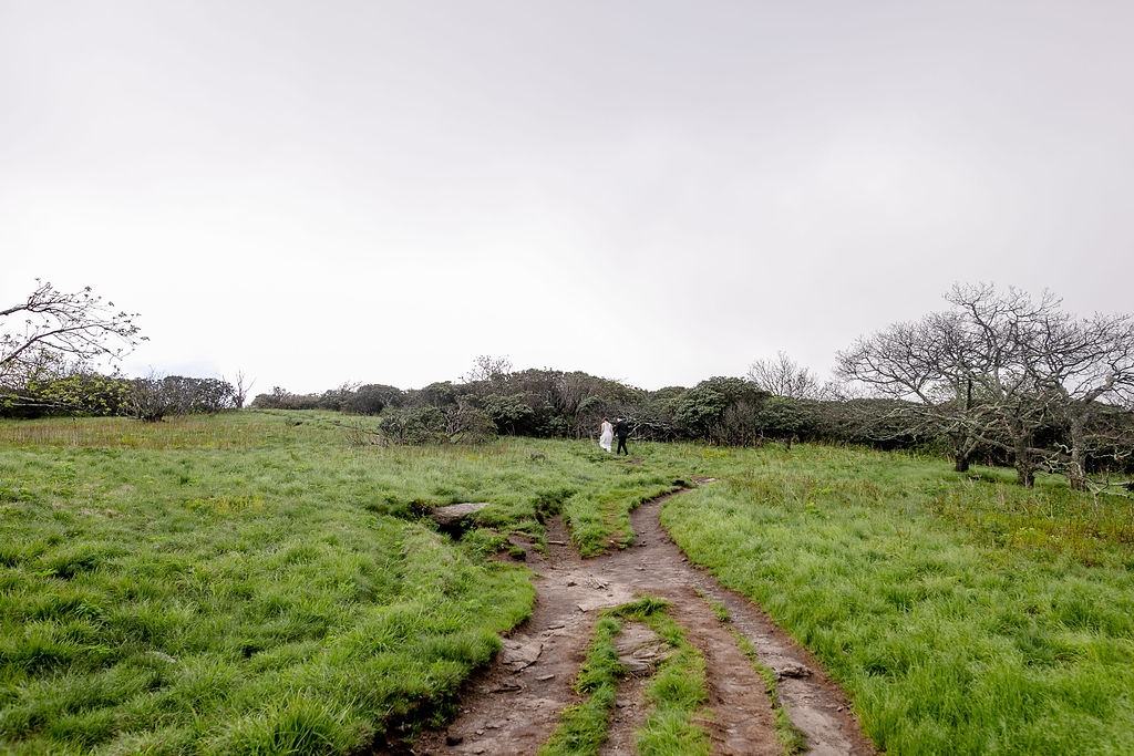 A wide shot of a couple standing on a path in a large, open green field with trees and shrubs around.
