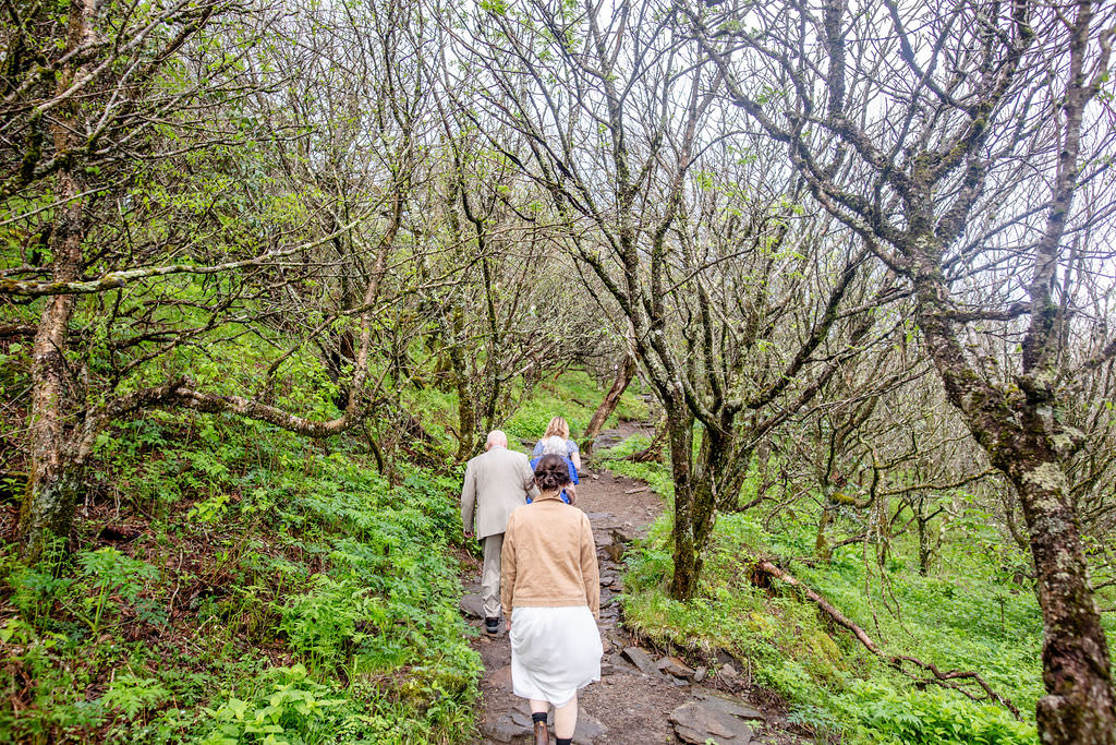 A group of people walking through a lush forested path on their way to a wedding ceremony.