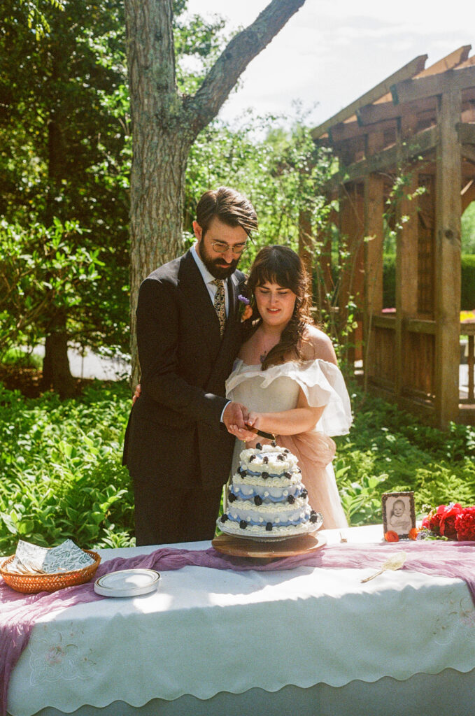 Film photo of a cake cutting during an intimate elopement in Asheville North Carolina